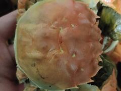 -七的湖·晚芳亭·阳澄湖农家菜·大闸蟹(莲花岛店)