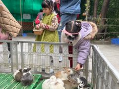 -史努比缤纷世界