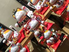 -猫咪博物馆(顶澳仔猫街店)