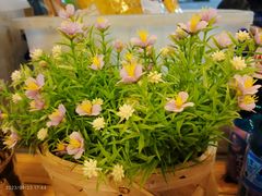 -無忧浅草君·洋风料理(下沙宝龙二期一店)