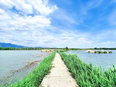 -野鸭湖国家湿地公园