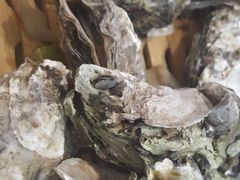 -胶东海鲜大排档(北太平庄店)