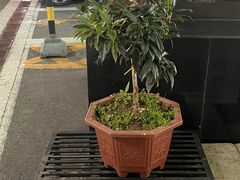 -燕莎友谊商城(亮马桥店)
