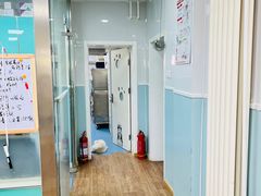 -中农大我爱我爱24h动物医院·中医针灸·猫专科·骨科医疗中心(双井店)