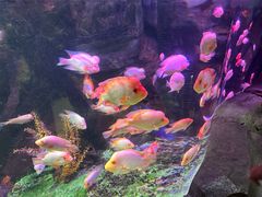 -泉城欧乐堡海洋极地世界