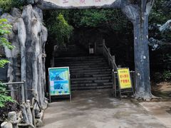 -王顺山国家森林公园