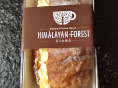 -喜马拉雅森HIMALAYAN FOREST