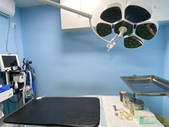 -爱贝特动物医院·猫口炎专科