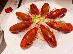 -觀芷隐轩