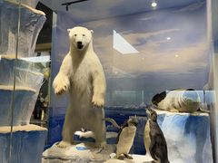 -国家自然博物馆