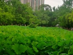 -四川大学(华西校区)