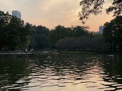 -晓港公园