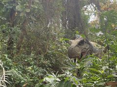 -海南热带野生动植物园
