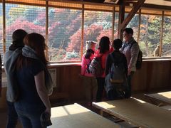 -岚山猴子公园