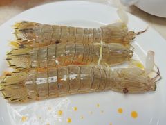 -春华海鲜城(广场西苑店)