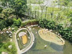 -新加坡飞禽公园
