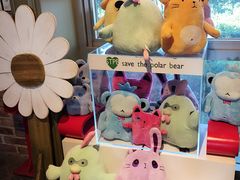 -济州岛泰迪熊博物馆