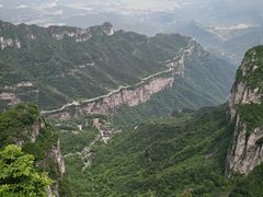 -王莽岭风景区