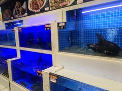 -鱼痴渔醉·食鲜集(月亮湾店)