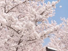 -龙美术馆(西岸馆)