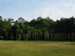 景点-东莞植物园