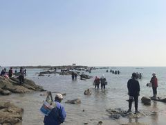 -巧克力渔家.小船海鲜胶东菜(万平口店)