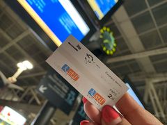 -戴高乐机场火车站