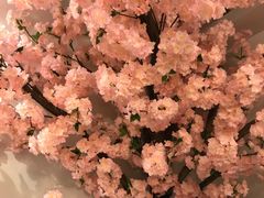 景观位-樱花里音乐餐吧·牛扒椰子鸡(东圃店)