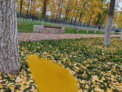 -汉长安城未央宫国家考古遗址公园