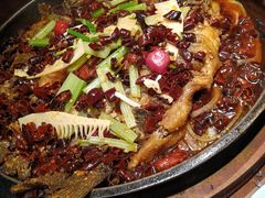-老板恋上鱼(荣盛广场店)