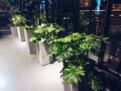 -未来生活家(集盒广场店)