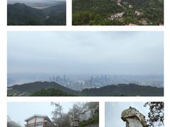 -大金鹰园
