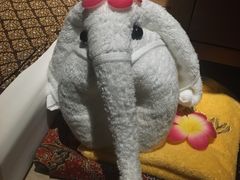 -泰禾馨·泰式按摩精油SPA(华荣大厦店)