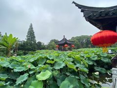 -丝绸小镇荻港古村