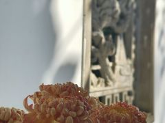 -杭州植物园