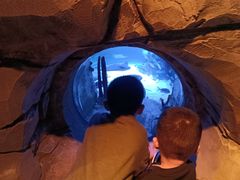 -沈阳海洋探索中心