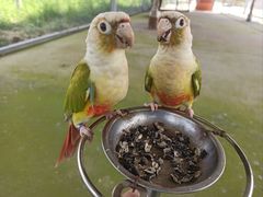 -石家庄市动物园