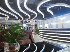 -金吉鸟健身游泳