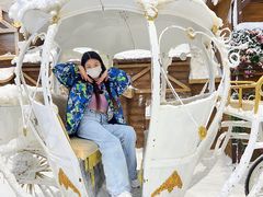 -世界之窗阿尔卑斯冰雪世界
