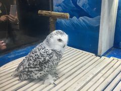 -成都浩海立方海洋公园