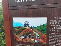 -大围山国家森林公园
