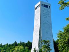 -东平国家森林公园