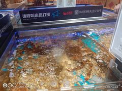 -大润发(国兴店)
