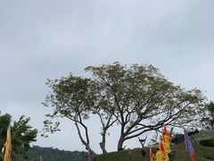 -胡里山炮台