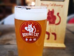 -Boxing Cat Brewery拳击猫精酿啤酒馆(永福店)
