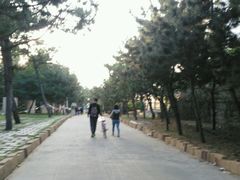 -山东大学(威海校区)