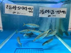 -西归浦每天偶来市场
