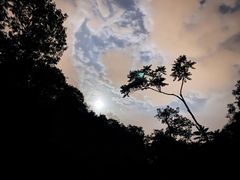 -鬼笑石后山停车场