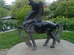 android_upload_pic-紫荆山公园