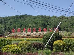 -金龙寺国家森林公园